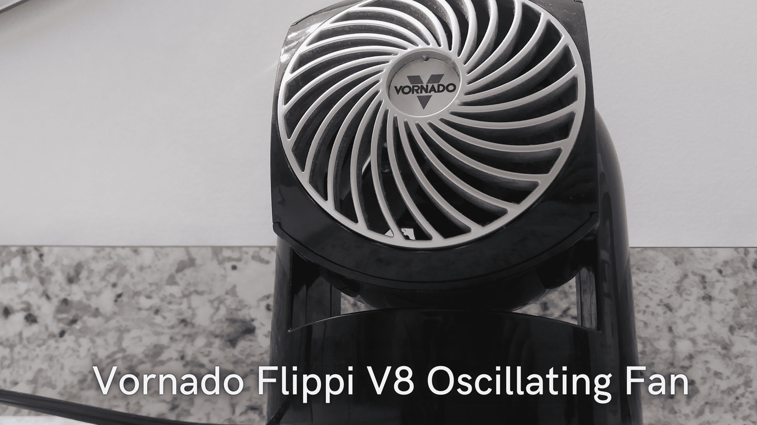 Watch In Hand Review of Vornado Flippi V8 Personal Oscillating Air